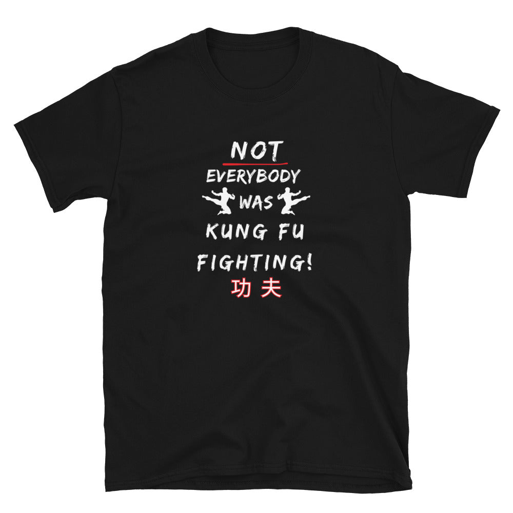 white T-shirt with the text 'Not everybody was kung fu fighting' on the front. in black, laid flat.