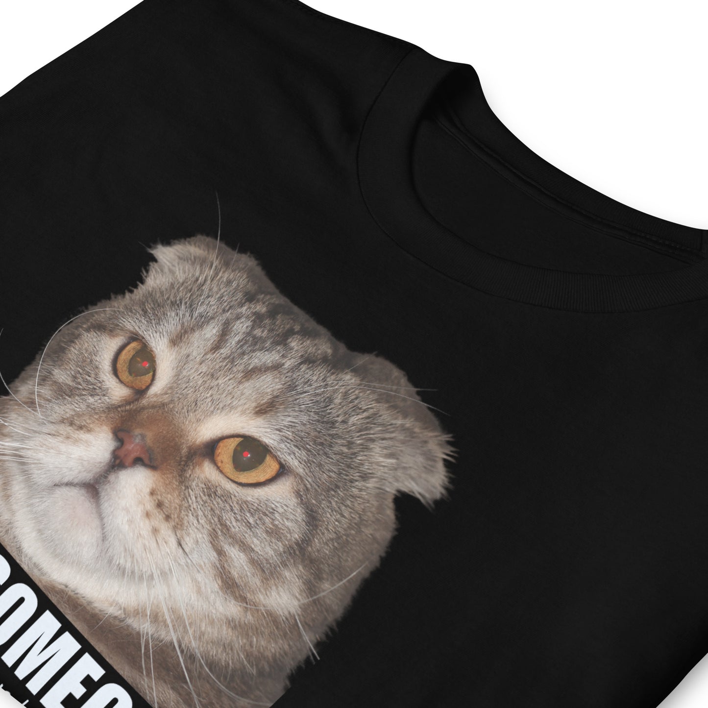 Black, folded, evil cat T-shirt with grumpy cat that reads Bite Someone, for no apparent reason, Just Bite Them