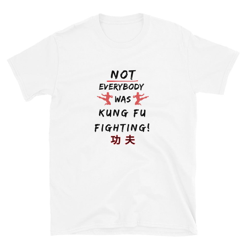 white T-shirt with the text 'Not everybody was kung fu fighting' on the front, laid flat in white with black and red text.