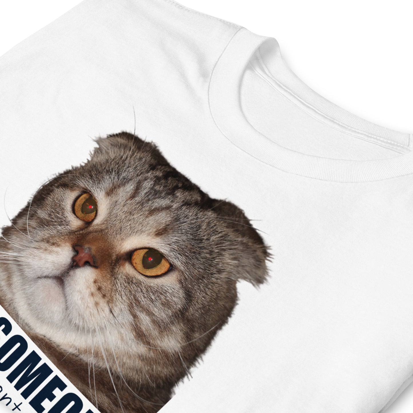 white, folded, evil cat T-shirt with grumpy cat that reads Bite Someone, for no apparent reason, Just Bite Them